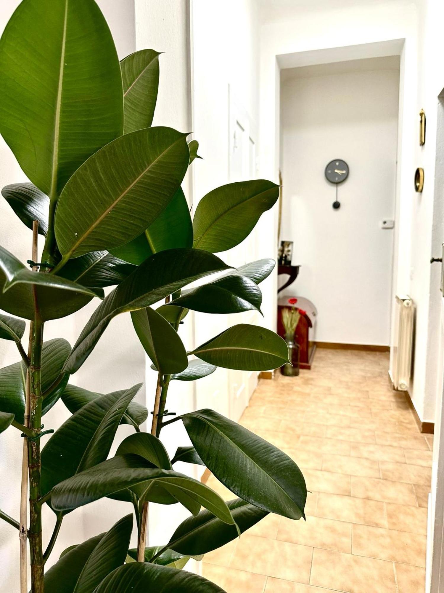 Casa Ganza Villa Pisa Dış mekan fotoğraf
